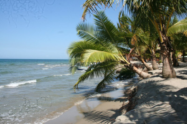 Fenómeno cíclico desgasta playas de Tela, Honduras