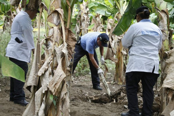 En fosas comunes encuentran restos de seis personas