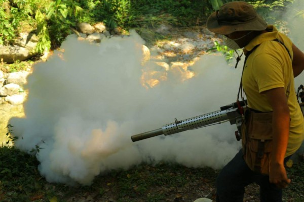 Limpian y fumigan zonas turísticas de San Pedro Sula
