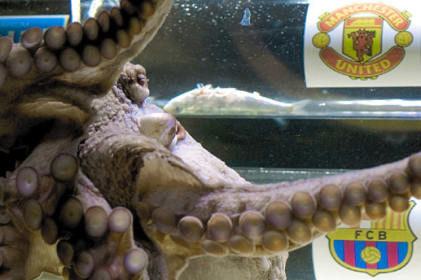 Chicharito: 'Este ha sido un año maravilloso”