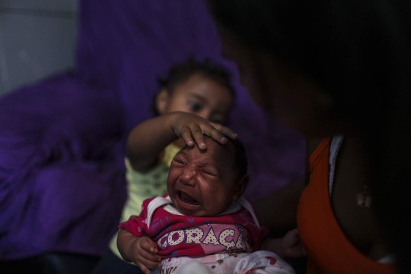 OMS: aumentan pruebas que vinculan zika con microcefalia