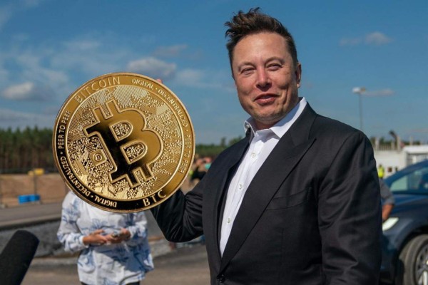 Grupo de 'falsos' Elon Musk roba dos millones de dólares en estafas con criptomonedas
