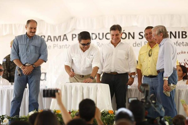 Cafetaleros hondureños apuntan a los siete millones de quintales