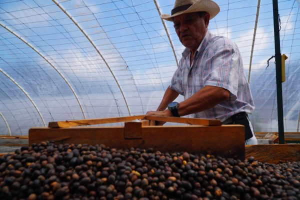 ¡Aventura en Santa Rosa! cuna del buen café y clima exquisito