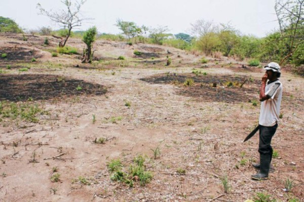 Honduras, el más perjudicado por la sequía en Centroamérica  