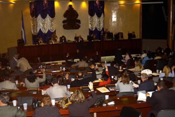 ¿Quién debe interpretarla?