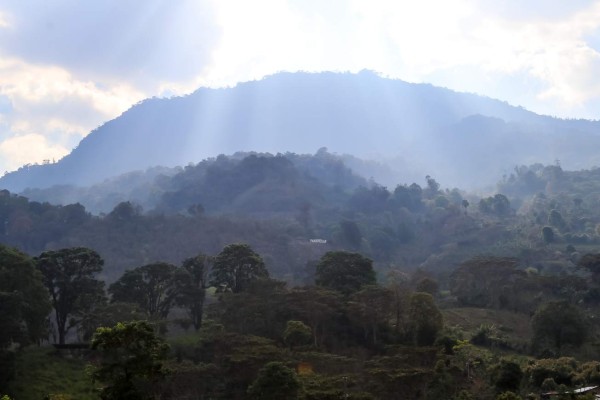 Exuberante vida silvestre y belleza natural