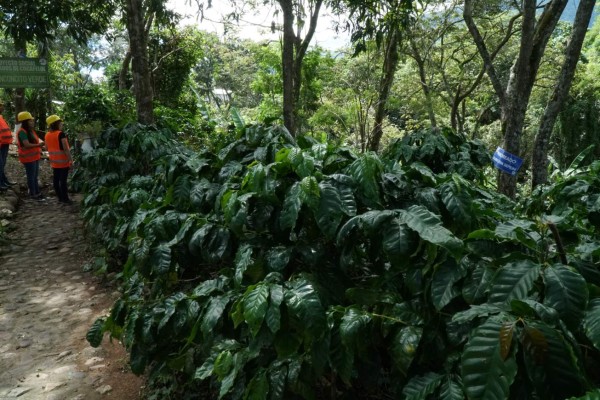 Municipio de La Labor, entre atractivos turísticos y misterios