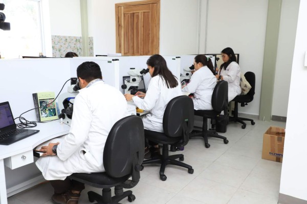 En 4.5% creció movimiento de carga en Puerto Cortés