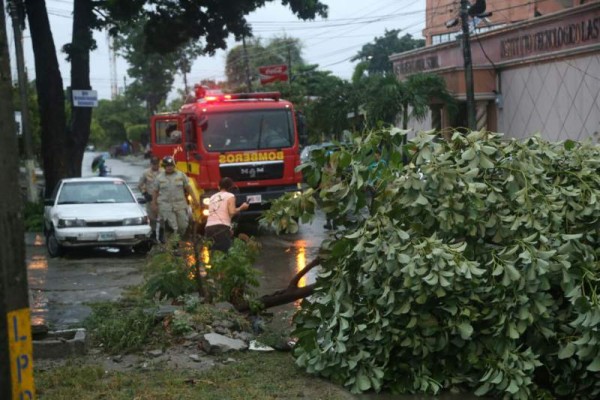 Foto: La Prensa