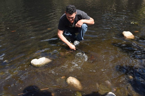 Expertos de Honduras viajan a investigar masiva muerte de peces en río Lempa