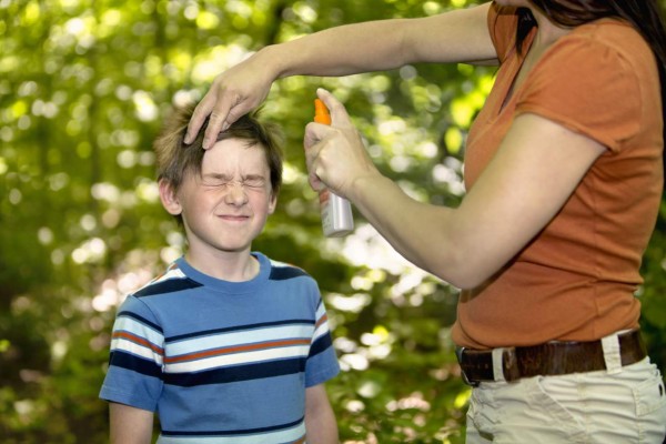 Como evitar las picaduras de insectos