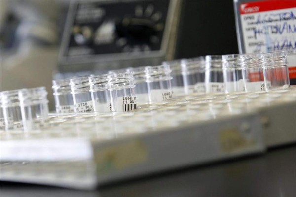 OMS advierte sobre la creciente resistencia a los antibióticos