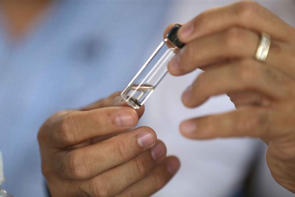 Bajo control nuevos brotes de plaga de gorgojo