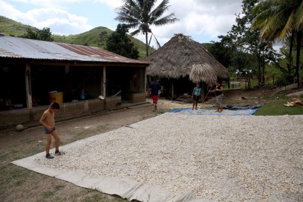 Los don nadie, la herencia del litigio territorial en Centroamérica