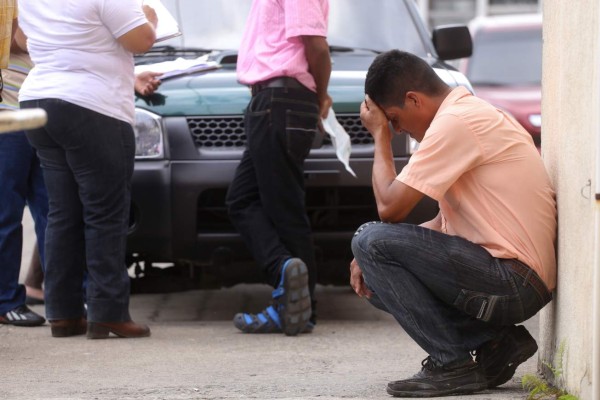 Niño de ocho años muere al ser pateado por una mula