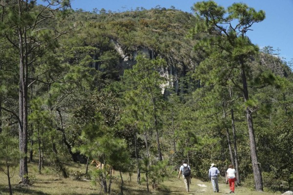 Ruta 504: La enigmática Cueva del Gigante en Honduras