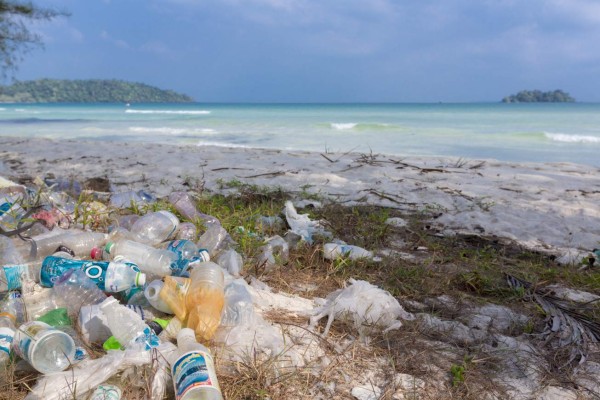 El plástico desplaza la vida marina