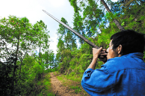 La Montaña de La Flor