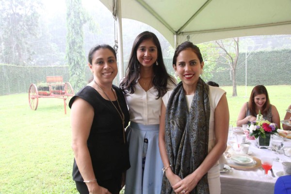 Presentación de Blendor, blends y orthodox teas