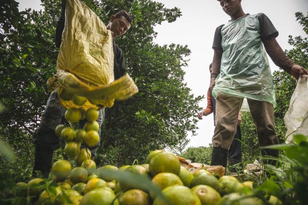 Comercio de Honduras en Centroamérica crece $26 millones