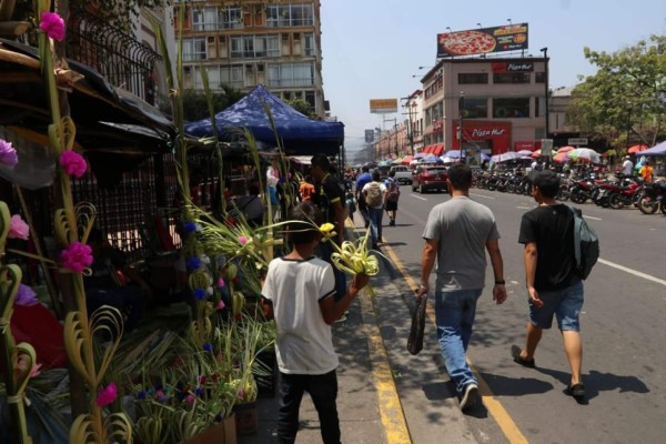 Vendedores de palma se alistan para el Domingo de Ramos