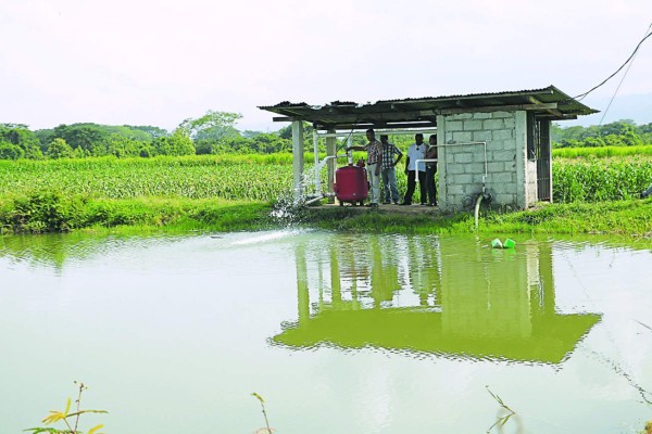 Escuela Pompilio Ortega, ejemplo del agro hondureño
