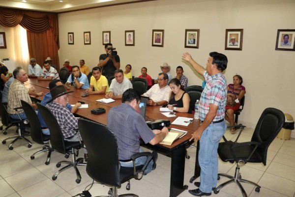 Sequía provoca pérdidas del 80% en cultivos de maíz de Nueva Arcadia, Copán