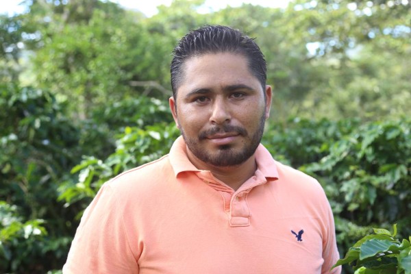 Cafetaleros proyectan cosecha récord de 8 millones de quintales