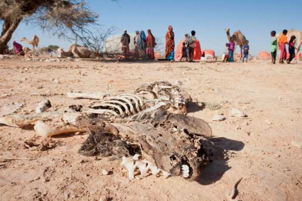 Al menos 110 fallecidos en 48 horas en Somalia a causa de la sequía  