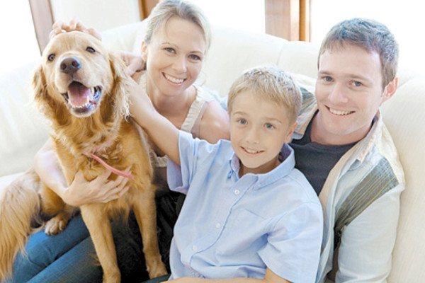 ¡A mimar a sus mascotas!