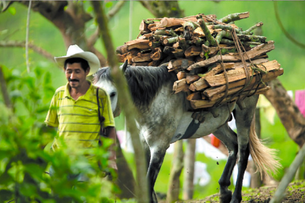El Merendón en imágenes