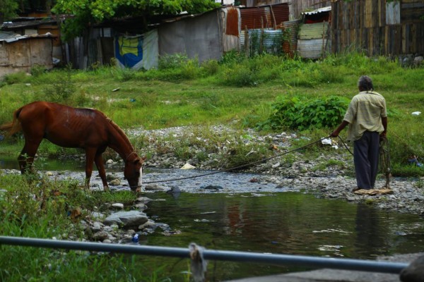 Tratamiento de las aguas negras, la deuda pendiente en San Pedro Sula