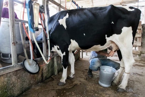 San Marcos, Capital de los Juegos Tradicionales de Honduras