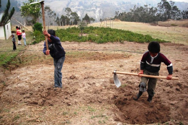 Trabajo infantil arrastra a 168 millones de niños en el mundo