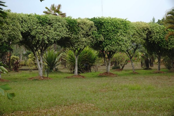 Siguatepeque, más que una ciudad de paso