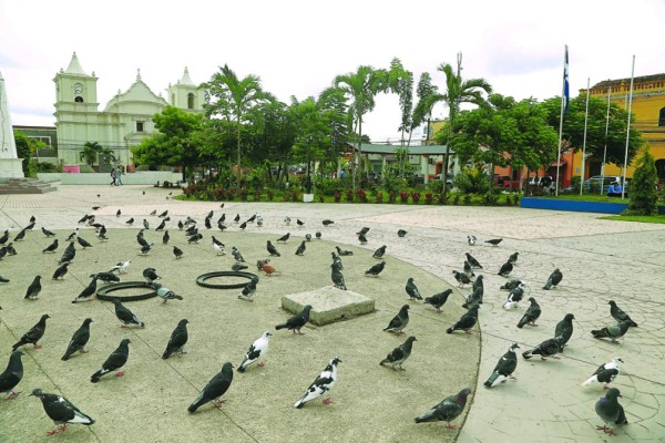 Juticalpa, la reina de las pampas