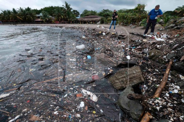 Contaminación en Omoa: 'En necropsias de peces hemos hallado plástico”