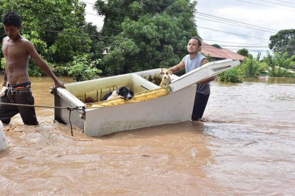 Daños económicos por Eta en Honduras ascenderían a cinco mil millones de dólares