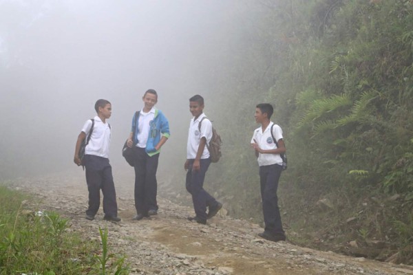 Hasta 10 kilómetros deben caminar menores para llegar a la escuela