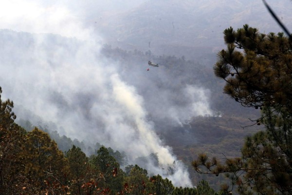 Reportan un incendio de grandes proporciones en Santa Lucía