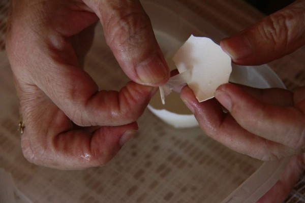 El maravilloso arte de reciclar&nbsp;&nbsp;