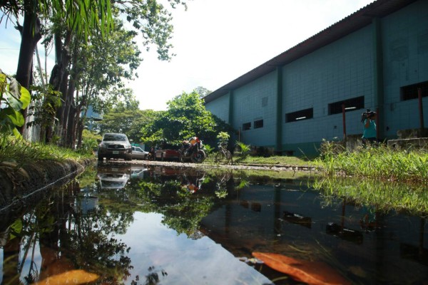 Instituto La Ceiba celebra 10 años esperando edificio