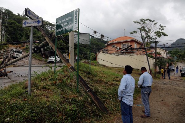 Corte de árbol deja sin energía eléctrica a más de 40,000 sampedranos