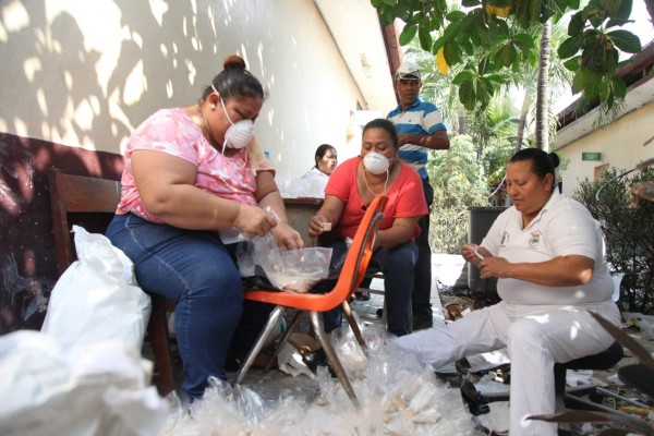 Corporación Municipal decreta emergencia por zika en San Pedro Sula