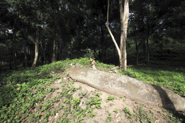 La Sabana de Currusté