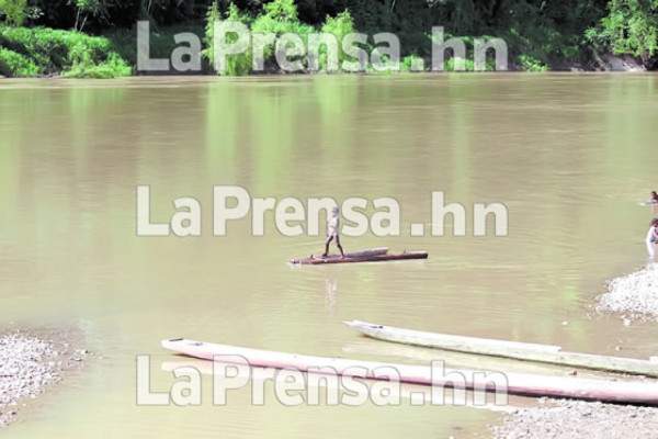 Fuertes intereses destruyen la Biosfera del Río Plátano