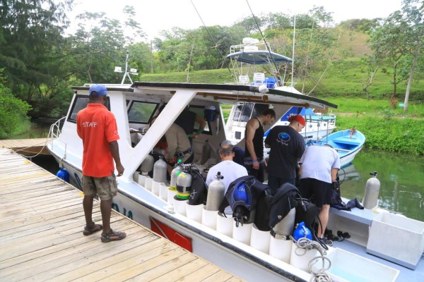 El 40% de turistas llega a Roatán para conocer los arrecifes de coral