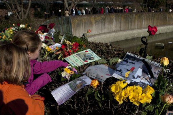 Publican video sobre la muerte de Knut en zoológico de Berlín