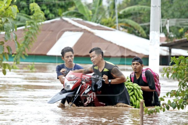 Nueva crecida del Ulúa aísla a El Progreso y sus campos